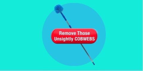 Kitchen Cleaning Services