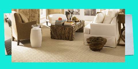 carpet cleaning service